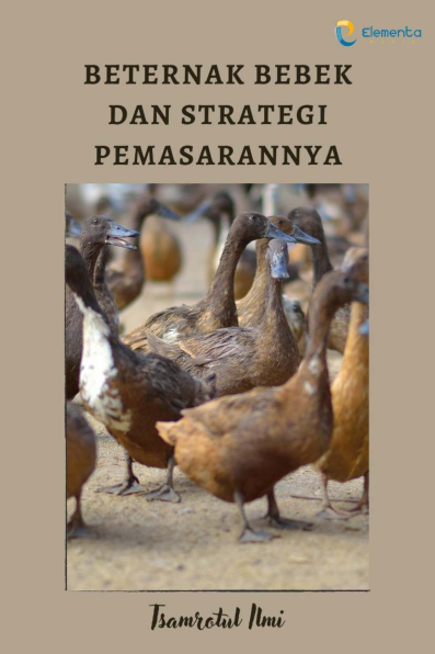 Beternak Bebek dan Strategi Pemasarannya