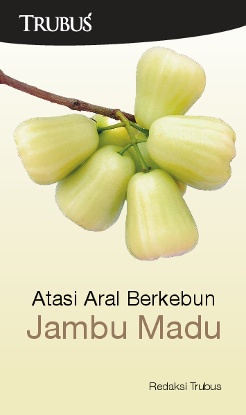 Atasi Aral Berkebun Jambu Madu