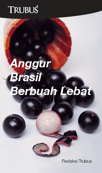 Anggur Brasil Berbuah Lebat