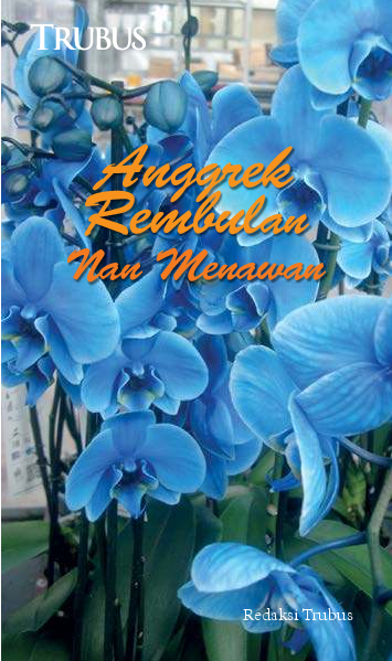 Anggrek Rembulan Nan Menawan