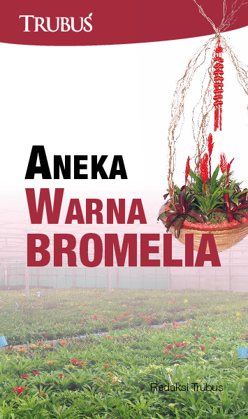 Aneka Warna Bromelia