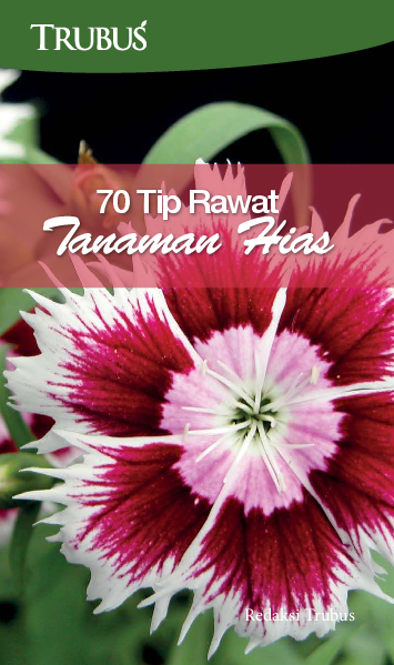 70 Tip Rawat Tanaman Hias