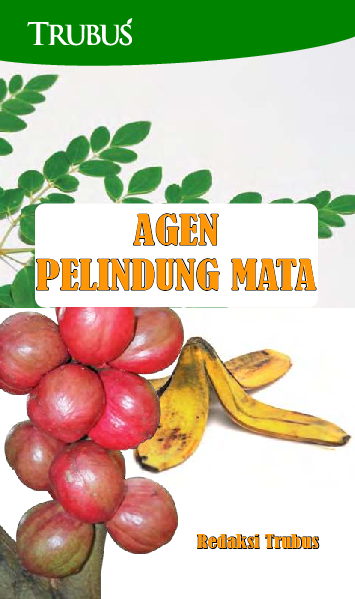 Agen Pelindung Mata