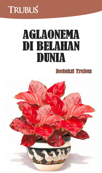 Aglaonema di Belahan dunia