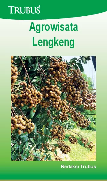 Agrowisata Lengkeng