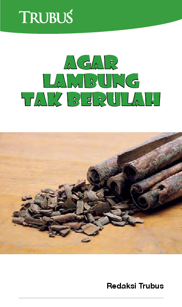 Agar Lambung Tak Berulah