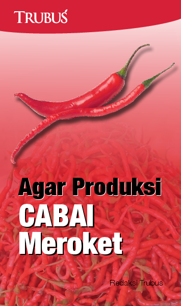 Agar Produksi Cabai Meroket