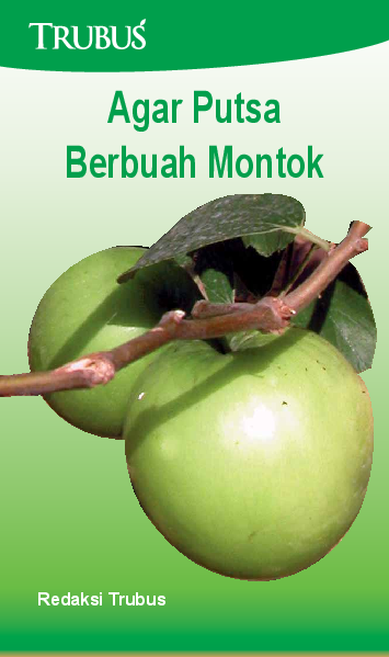 Agar Putsa Berbuah Montok