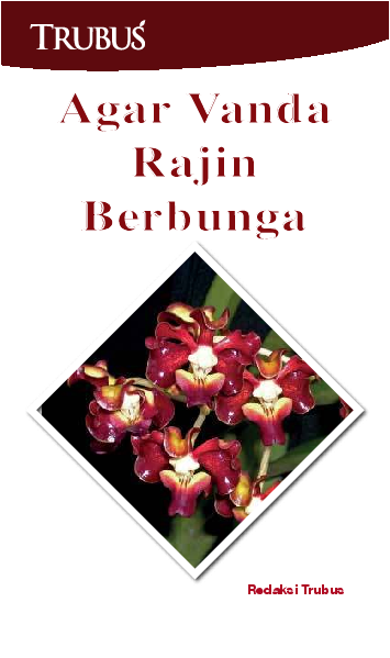 Agar Vanda Rajin berbunga