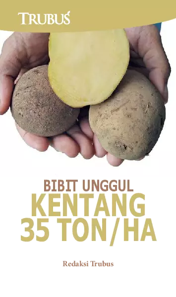 Bibit Unggul Kentang 35 Ton/Ha