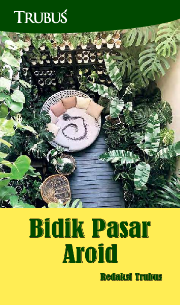 Bidik Pasar Aroid