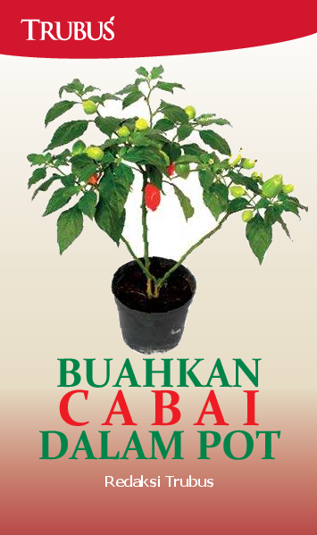 Buahkan Cabai Dalam Pot