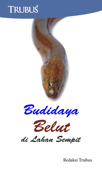 Budidaya Belut di Lahan Sempit