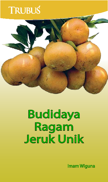 Budidaya Ragam Jeruk Unik