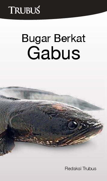 Bugar Berkat Gabus