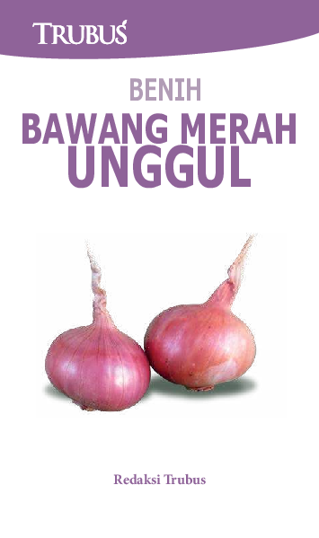 Benih Bawang Merah Unggul