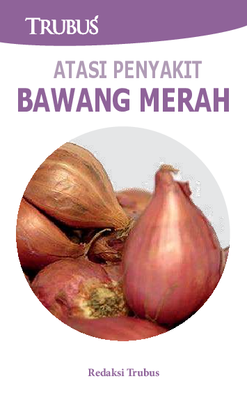 Atasi Penyakit Bawang Merah