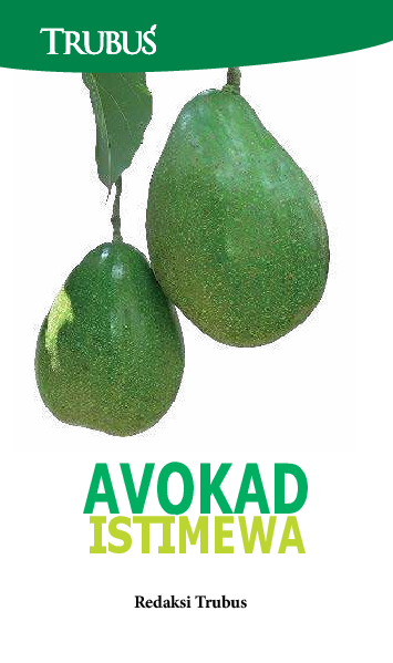 Avokad Istimewa