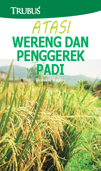 Atasi Wereng Dan Penggerek Padi