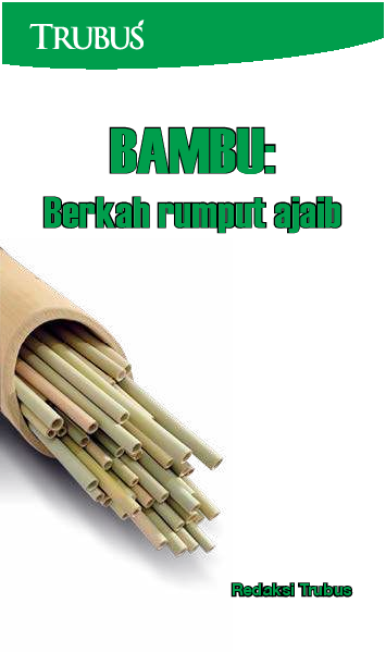 Bambu: Berkah Rumput Ajaib