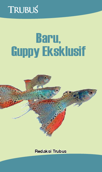 Baru, Guppy Eksklusif