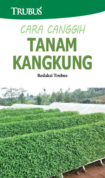 Cara Canggih Tanam Kangkung