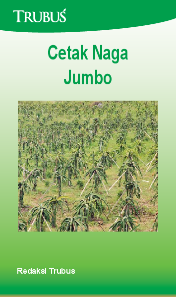 Cetak Naga Jumbo