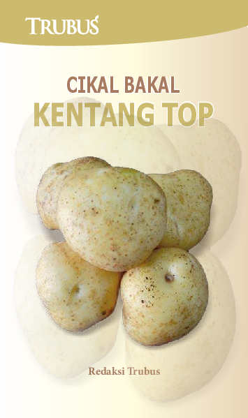 Cikal Bakal Kentang Top