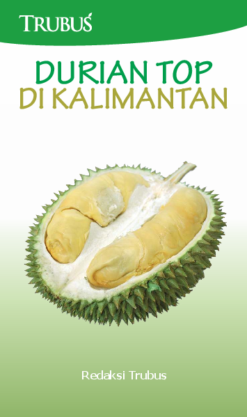 Durian Top di Kalimantan