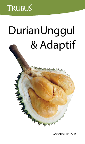 Durian Unggul & Adaptif