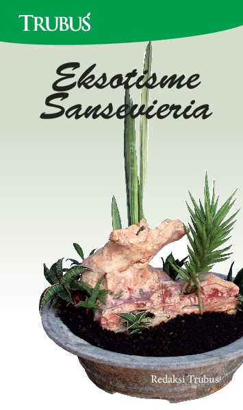 Eksotisme Sansevieria