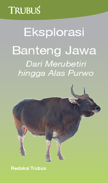 Eksplorasi Banteng Jawa : Dari Merubetiri Hingga Alas Purwo