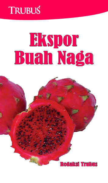 Ekspor Buah Naga