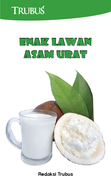 Enak Lawan Asam Urat