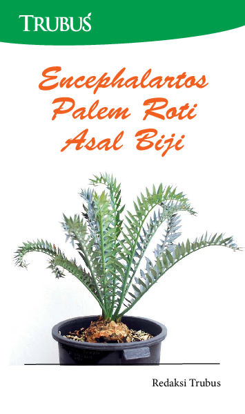 Encephalartos: Palem Roti Asal Biji