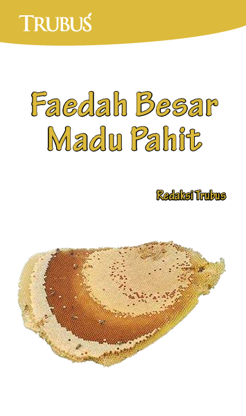 Faedah Besar Madu Pahit