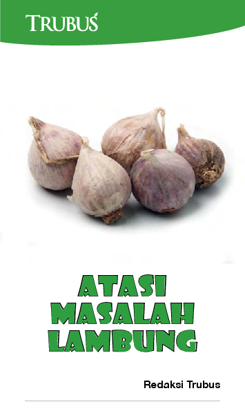 Atasi Masalah Lambung