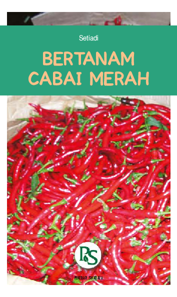 Bertanam Cabai Merah