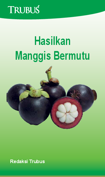 Hasilkan Manggis Bermutu