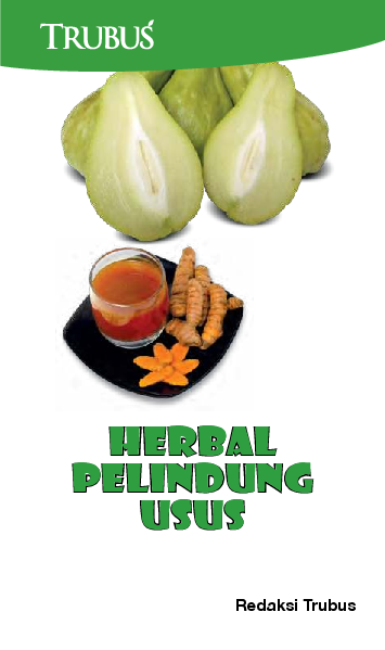 Herbal Pelindung Usus