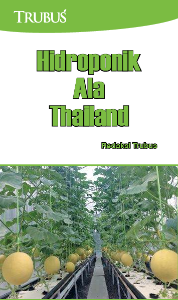 Hidroponik ala Thailand