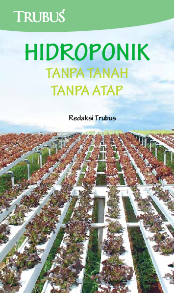 Hidroponik Tanpa Tanah; Tanpa Atap