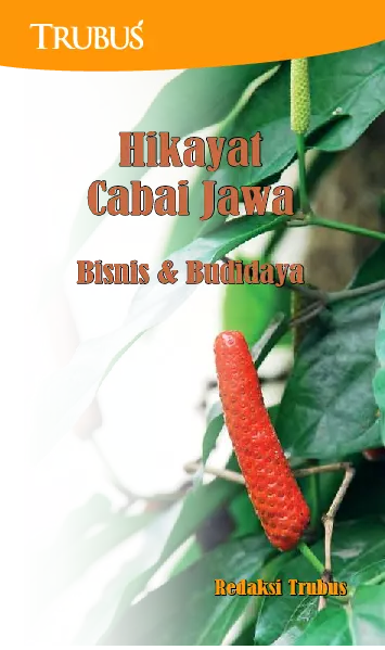 Hikayat Cabai Jawa