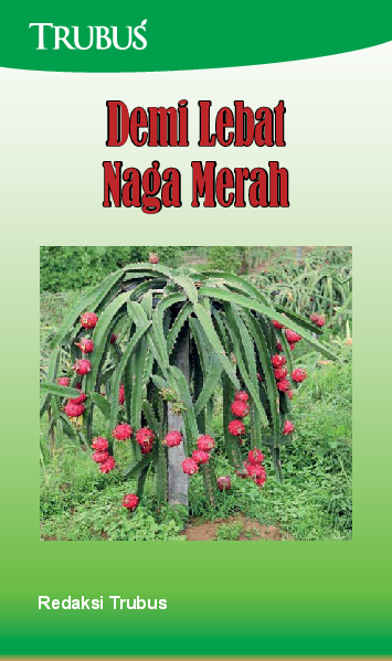 Demi Lebat Naga Merah