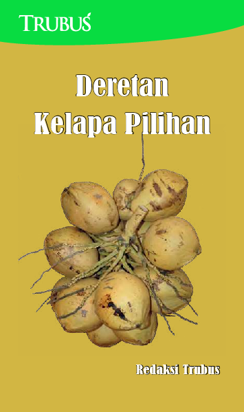 Deretan Kelapa Pilihan