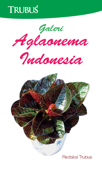 Galeri Aglaonema Indonesia