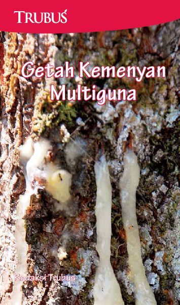 Getah Kemenyan Multiguna