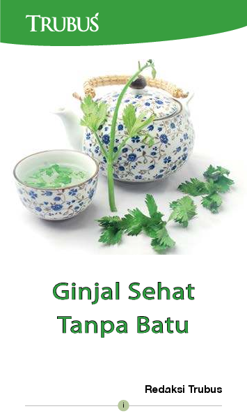 Ginjal Sehat Tanpa Batu