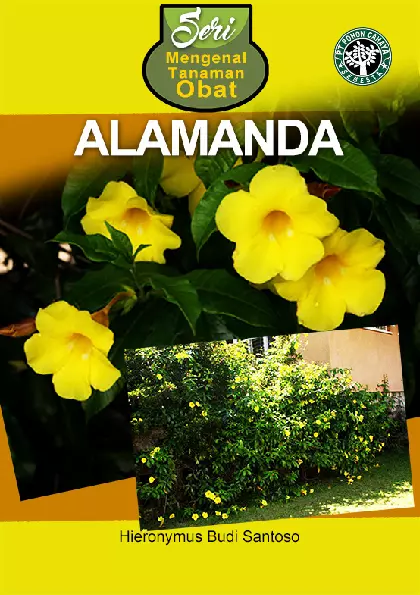 Seri Mengenal Tanaman Obat; Alamanda