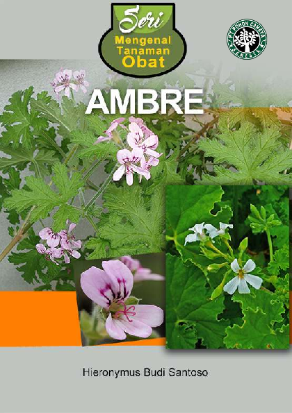 Seri Mengenal Tanaman Obat; Ambre